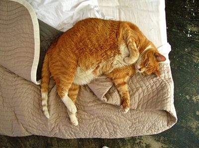 Screen shot 2010-11-16 at 1.51.12 PM