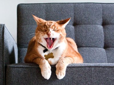 Screen shot 2010-11-16 at 1.48.55 PM