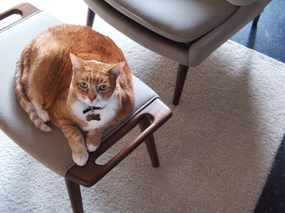 Screen shot 2010-11-16 at 9.11.39 PM