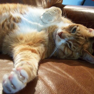 Screen shot 2010-11-16 at 9.10.51 PM