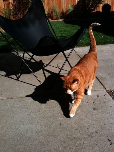 Screen shot 2010-11-16 at 9.16.26 PM