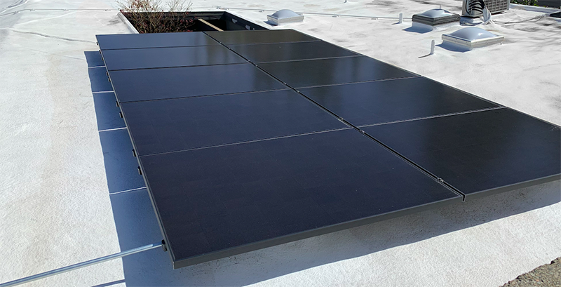 Screen Shot 2021-03-24 at 7.36.43 PM